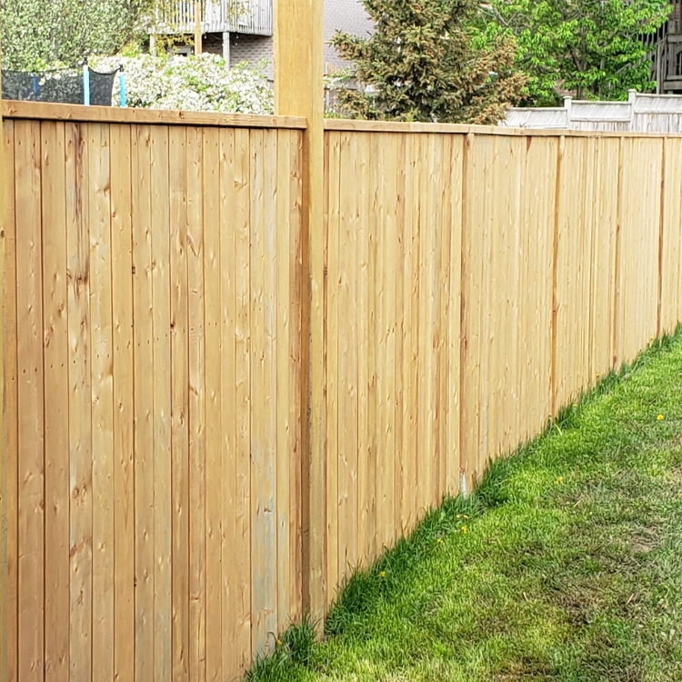 Landscaping in Corpus Christi & San Antonio