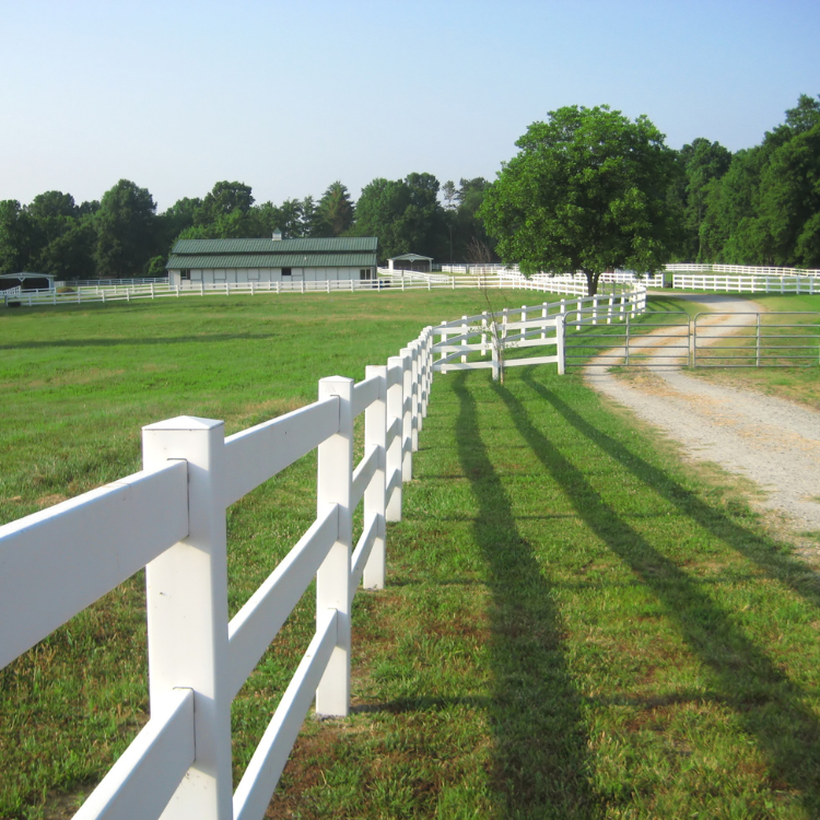 Landscaping in Corpus Christi & San Antonio