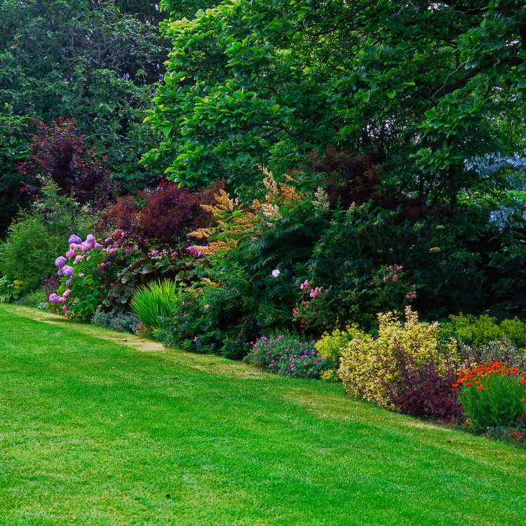 Landscaping in Corpus Christi & San Antonio