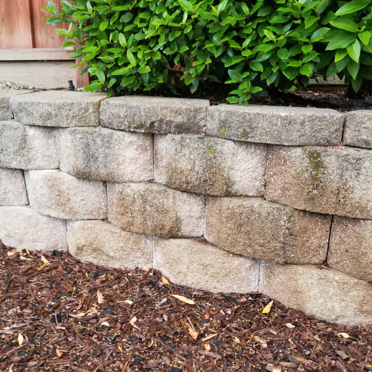 Landscaping in Corpus Christi & San Antonio