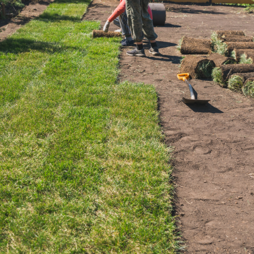 Landscaping in Corpus Christi & San Antonio