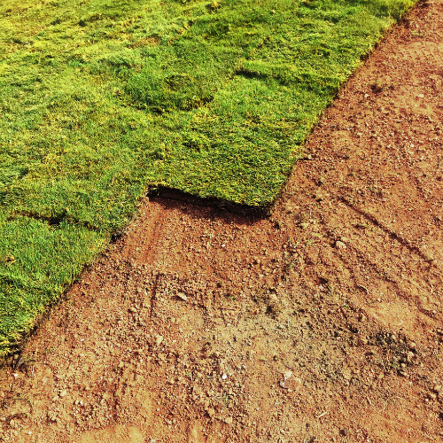 Landscaping in Corpus Christi & San Antonio