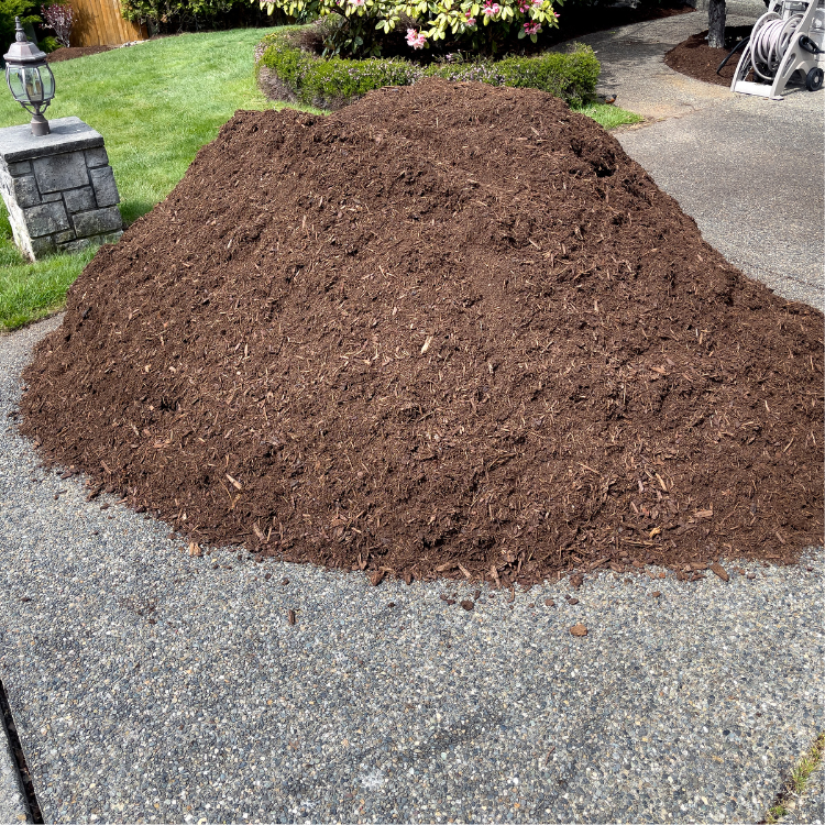 Landscaping in Corpus Christi & San Antonio