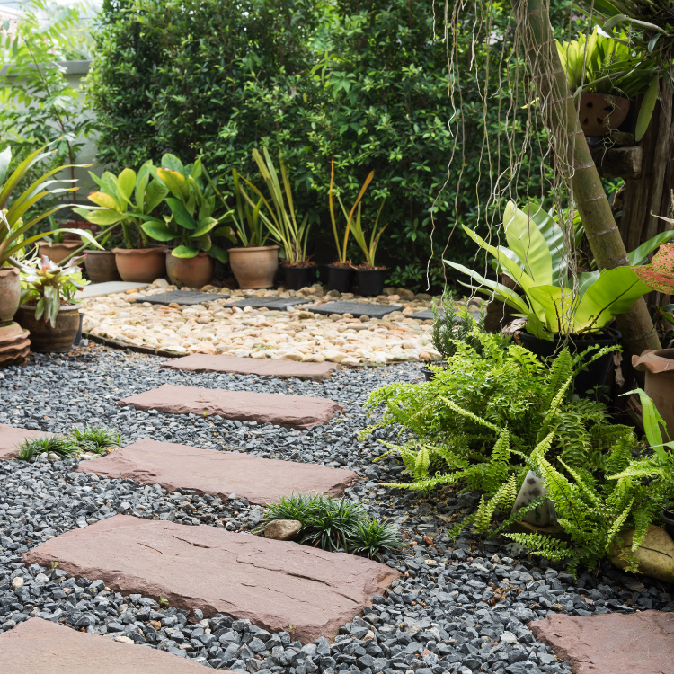 Landscaping in Corpus Christi & San Antonio